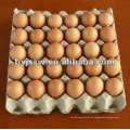 Bandeja de ovo de celulose de 30 papéis de celulose